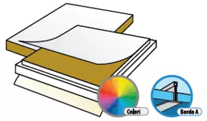 EUROCOLOR